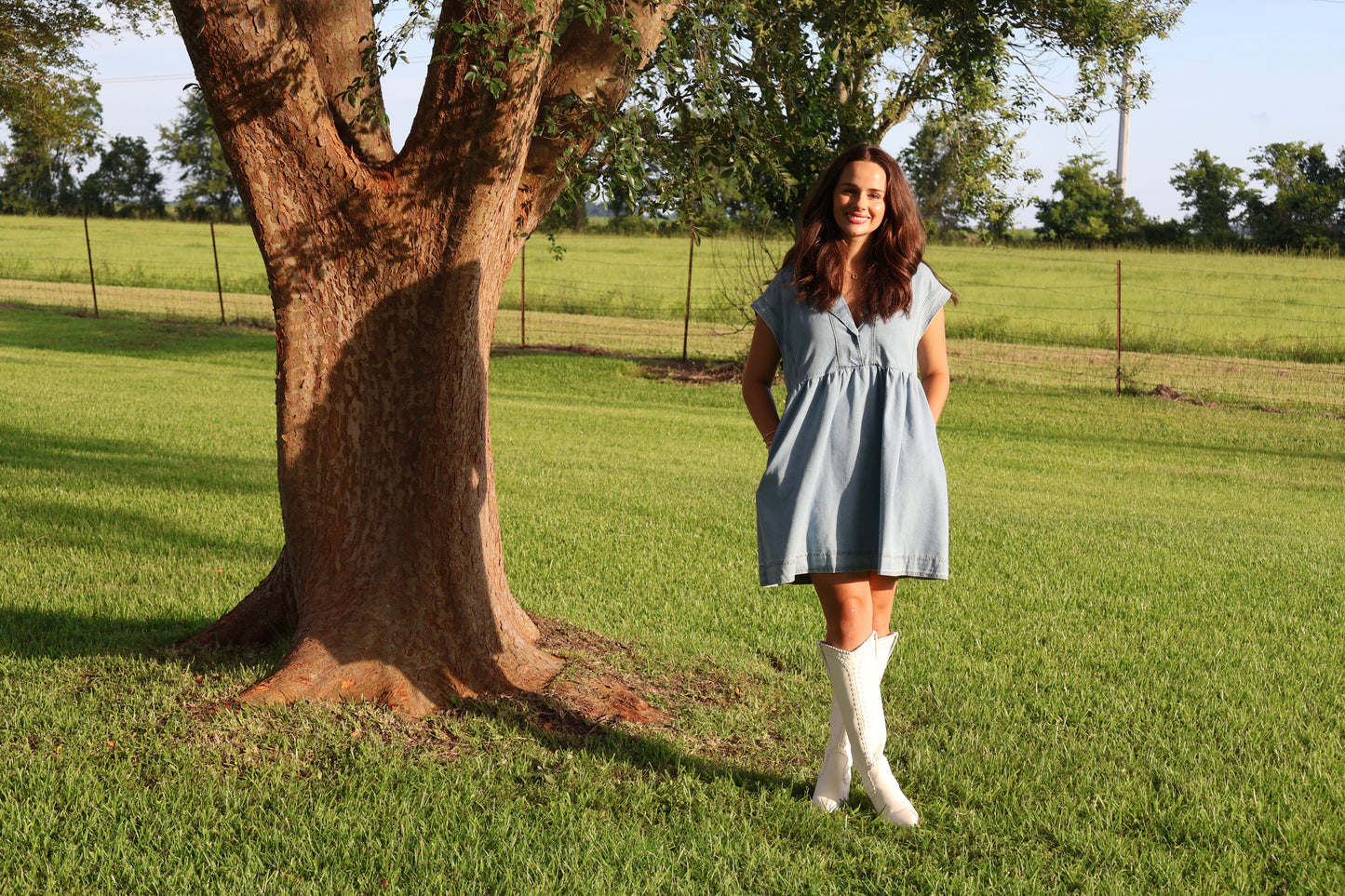 Denim Collared Short Sleeve Dress