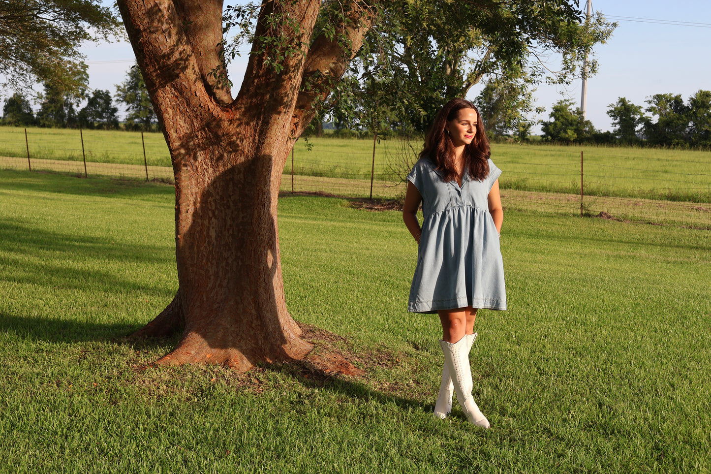Denim Collared Short Sleeve Dress