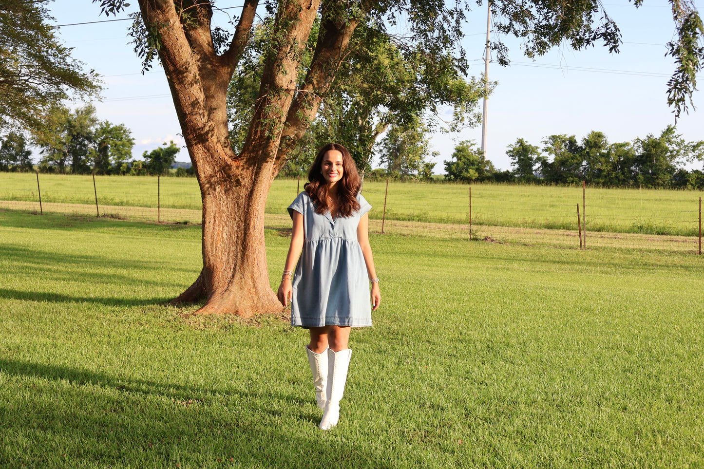 Denim Collared Short Sleeve Dress