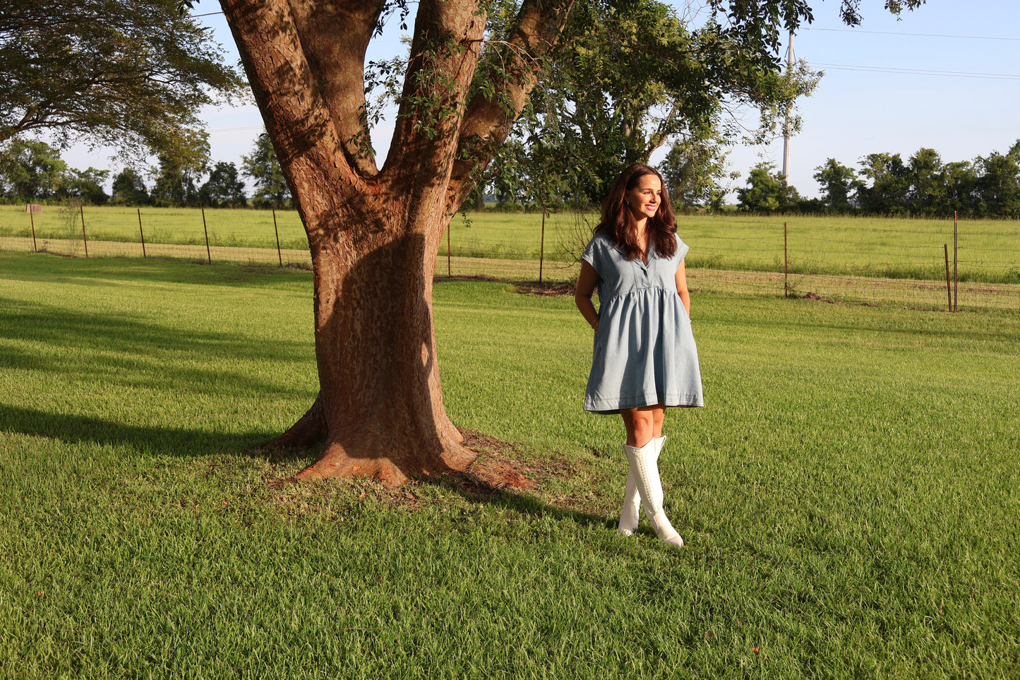 Denim Collared Short Sleeve Dress