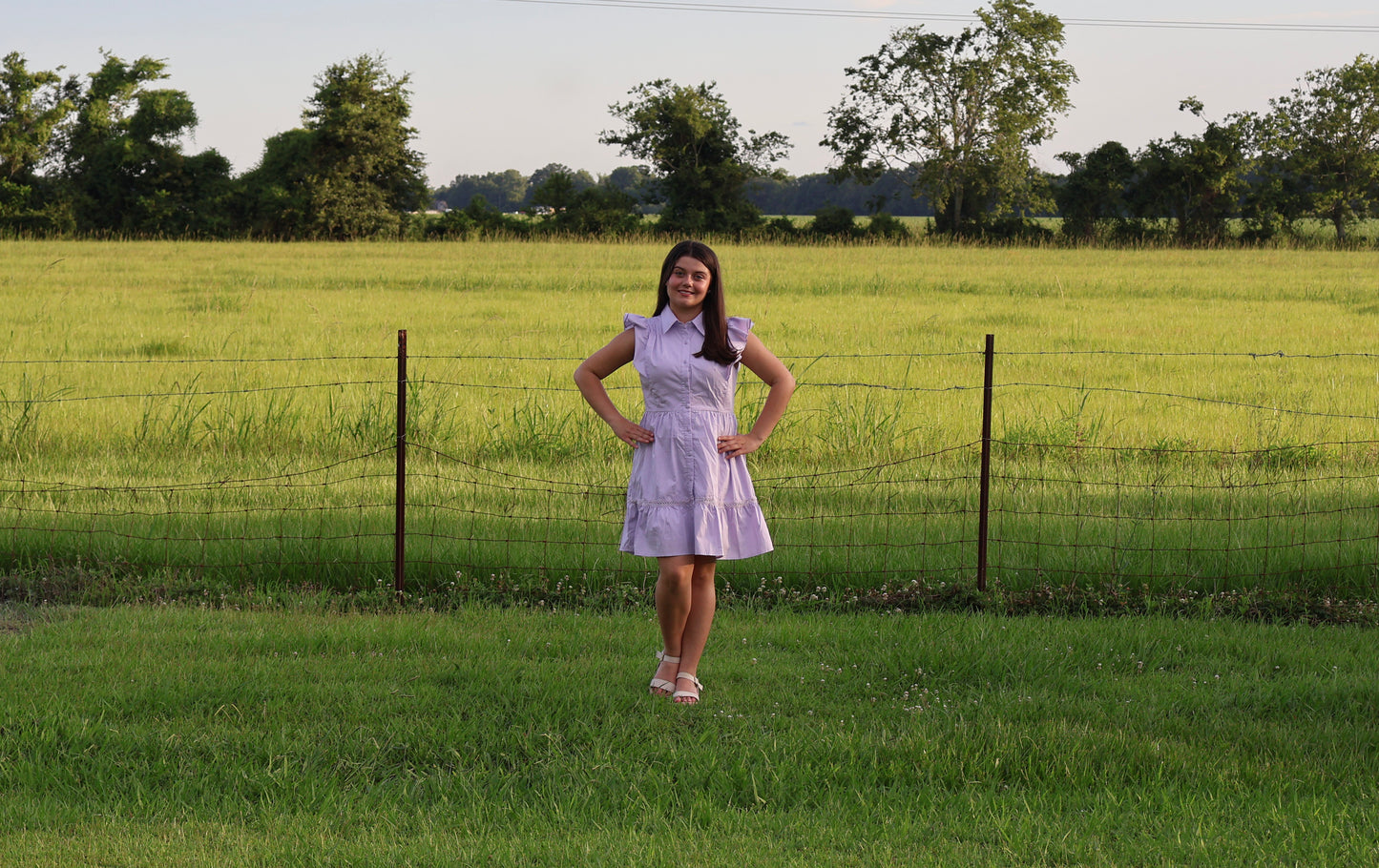 Fit and Flare Button Up Dress