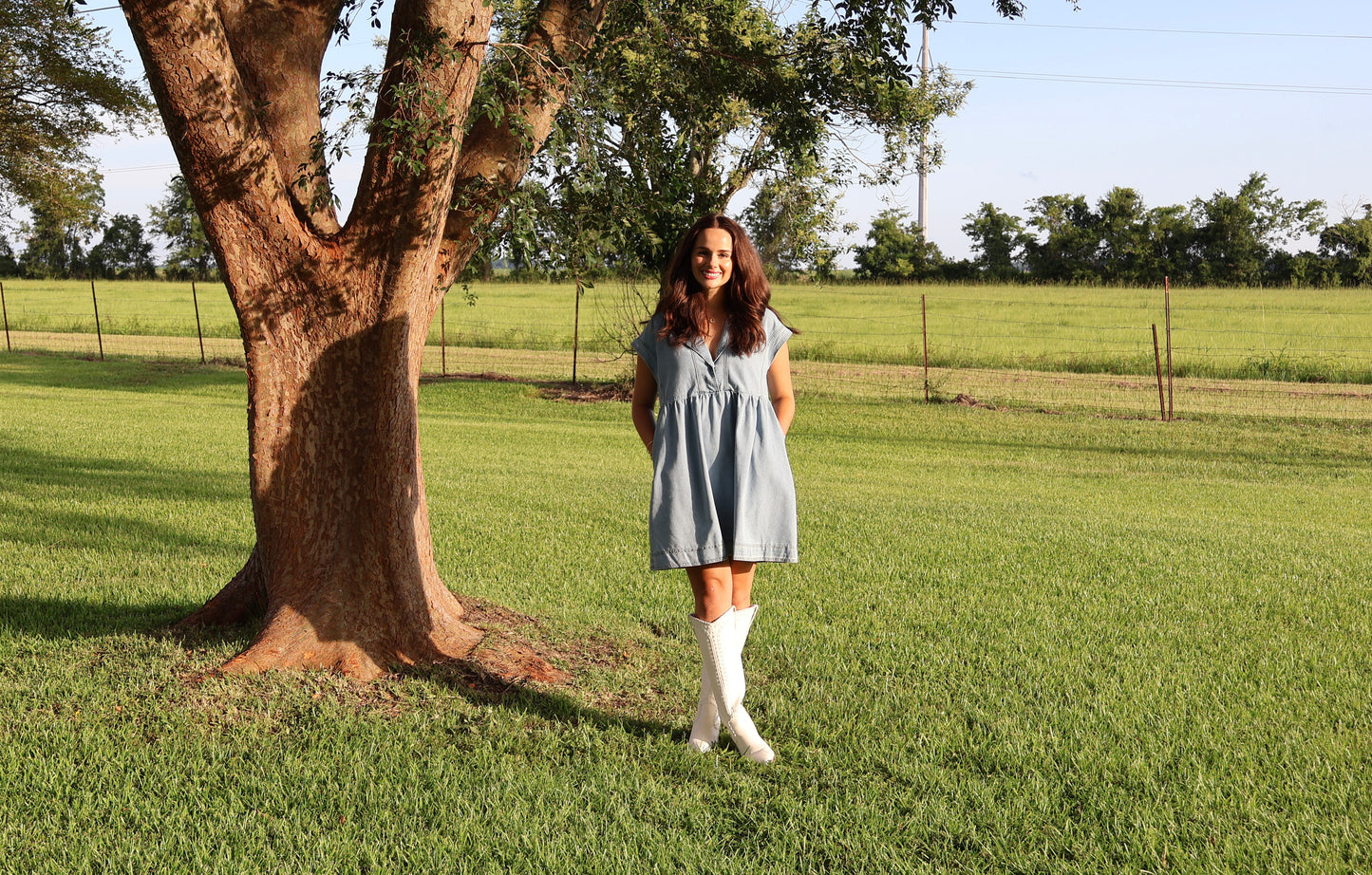 Denim Collared Short Sleeve Dress