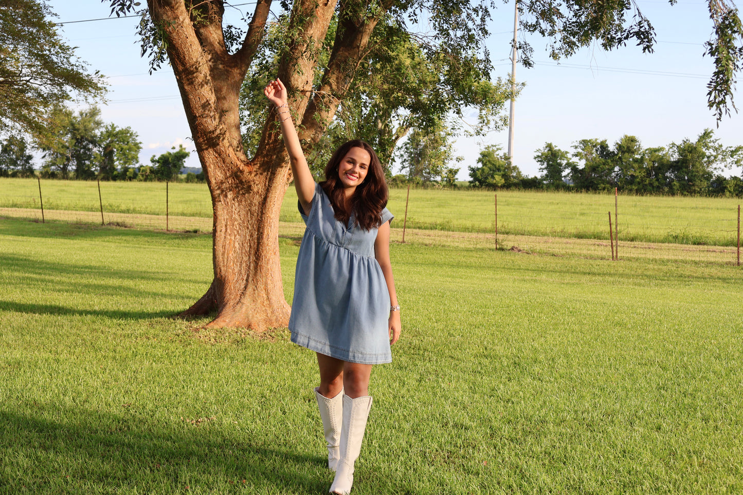 Denim Collared Short Sleeve Dress